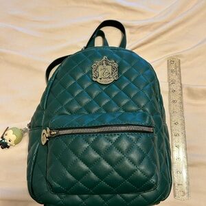 Harry Potter “ Slytherin” backpack.